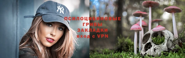 2c-b Белокуриха