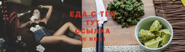 МДПВ Бородино