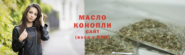 МДПВ Бородино