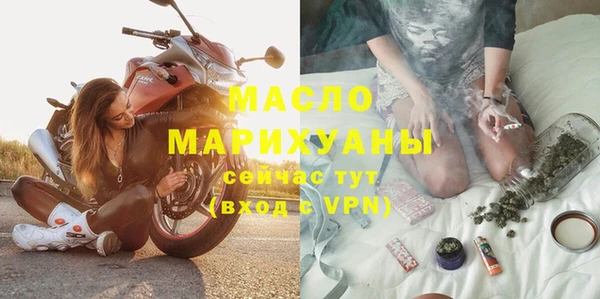 МДПВ Бородино