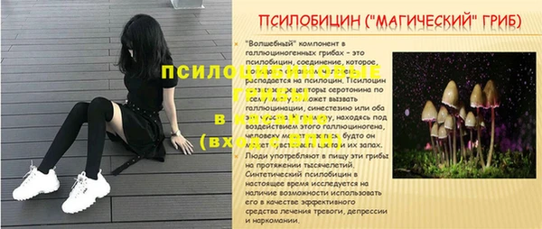 СК Бугульма