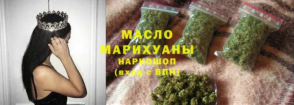 МДПВ Бородино