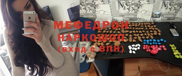 МДПВ Бородино
