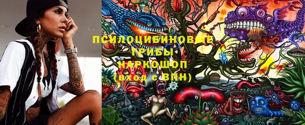 МДПВ Бородино