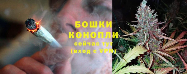МДПВ Бородино