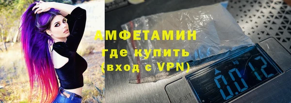 МДПВ Бородино