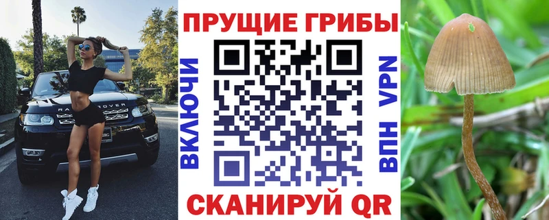 Галлюциногенные грибы GOLDEN TEACHER где купить наркоту MEGA ONION Верхняя Пышма