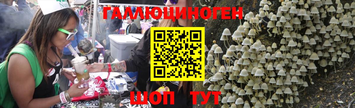 Галлюциногенные грибы Magic Shrooms  Галлюциногенные грибы прущие грибы  наркотики  Верхняя Пышма  Вход с VPN 